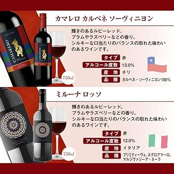 チリワインサンタ・イネス ‘’オーガニック‘’ ワイン 赤・白×12本セット チリワインサンタ・イネス ''オーガニック'' ワイン 赤・白×12本